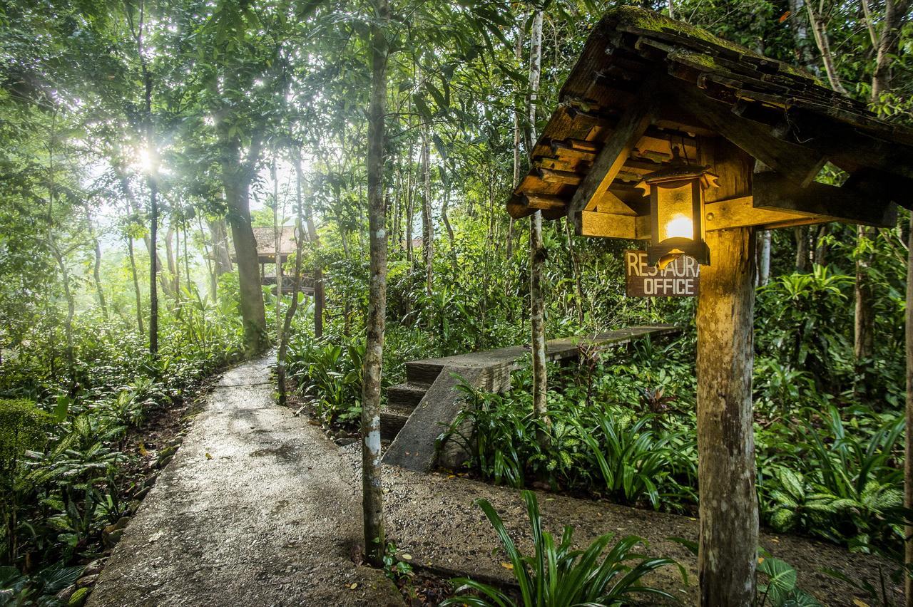 Art'S Riverview Lodge Khao Sok National Park Exterior foto